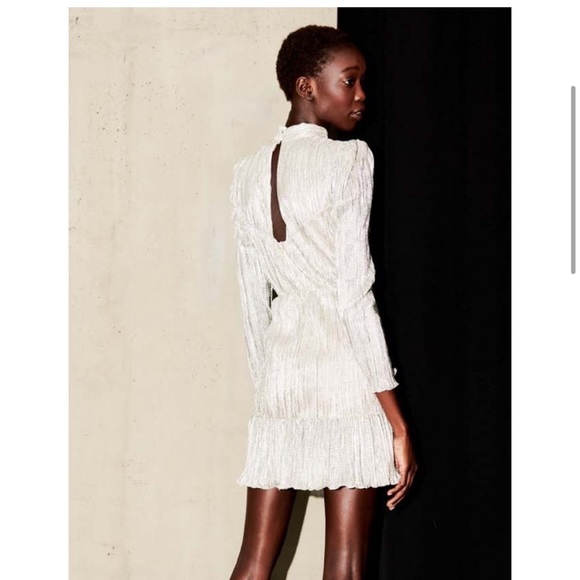 Saylor Saydee platinum dress (Revolve) - Picture 7 of 15